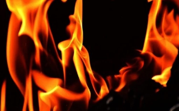3 Houses Gutted In Srinagar Blaze, 2 Firemen Injured | Nation
