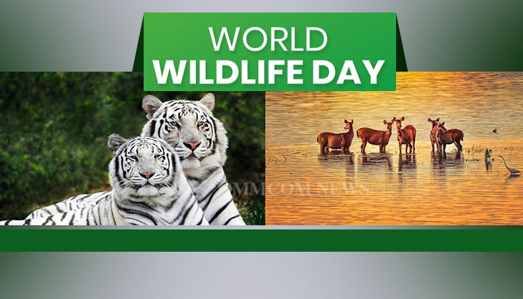 World Wildlife Day: VP, PM, Odisha CM Stress On Protection Of Animals |  Nation