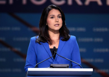 Tulsi Gabbard