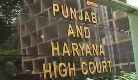 Punjab and Haryana High Court.