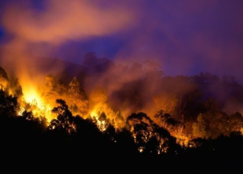 Bushfire