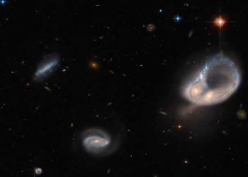 Hubble captures unusual galaxy merger in ancient universe