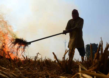 stubble burning