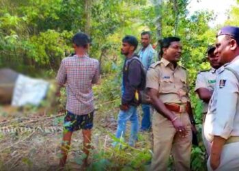 Villagers and Forest officials at the site where the carcass of elephant calf was found in Ganjam.