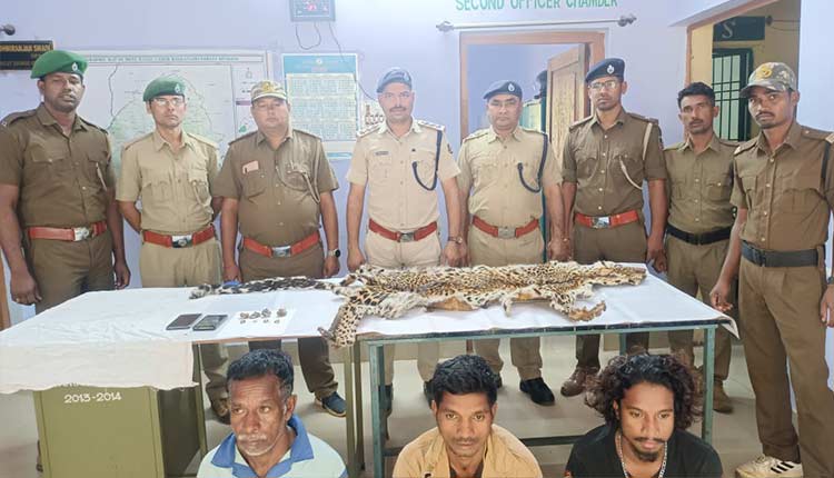 Leopard Hide Seized, Three Wildlife Smugglers Nabbed in Odisha's ... - Ommcom News