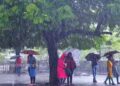 Rainfall