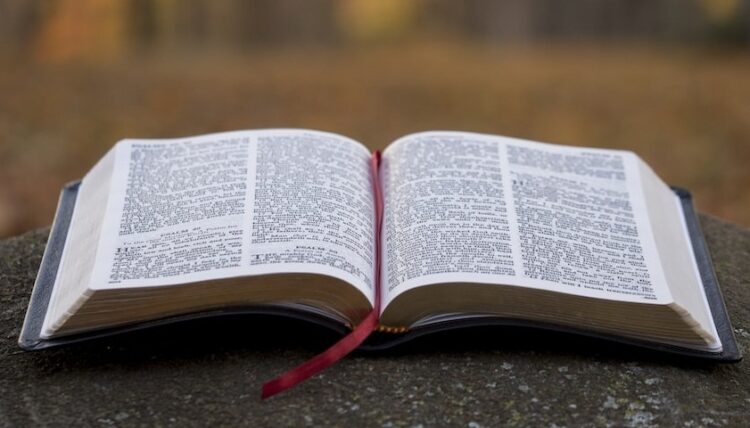bible.(photo:unsplash)
