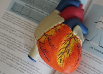 Adopt a simple and affordable lifestyle to prevent heart attacks .(photo;IANSLIFE)