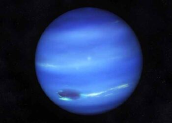 Neptune Dark