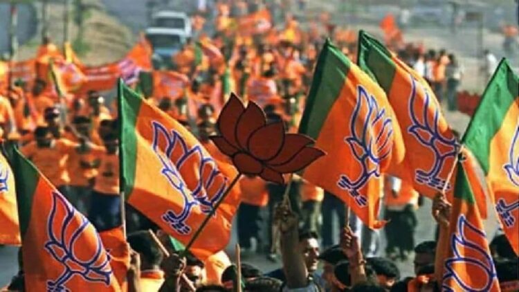 BJP Flag.
