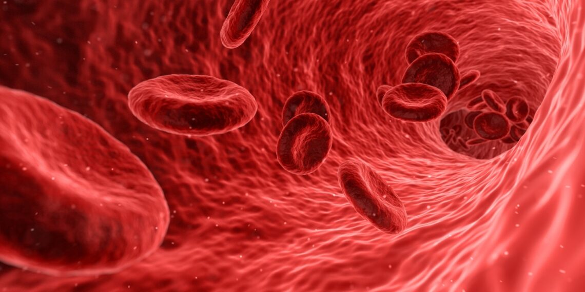 Red blood cells.