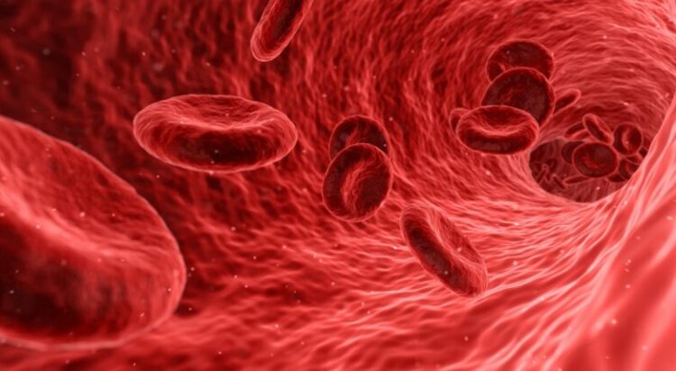 Red blood cells.