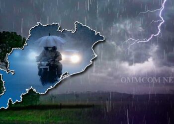 Odisha rainfall