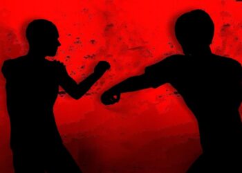 Brawl. (IANS Infographics)