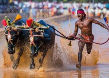 Karnataka man reportedly ran 100 m in 9.55 sec, Twitter calls him "Usain bolt of Kambala".