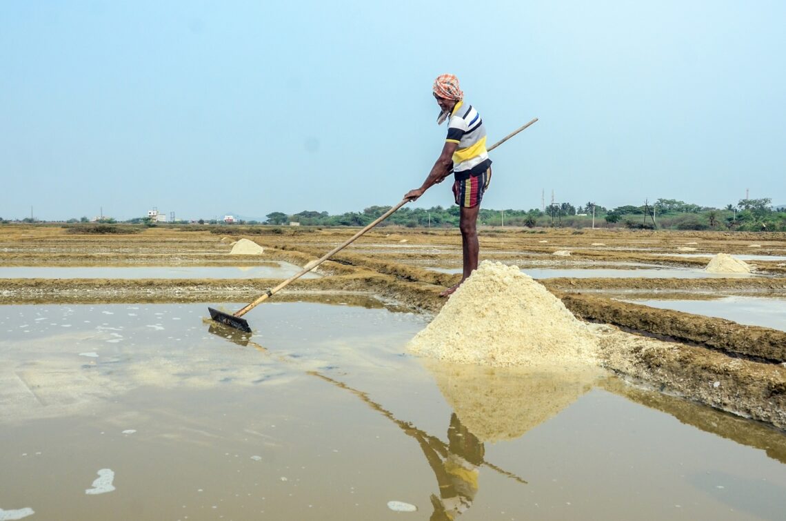 Ganjam: A farmer busy in gathering salt at Humma Salt Factory in Ganjam district, on Tuesday, May 09, 2023.  (Photo: Biswanath swain/IANS)