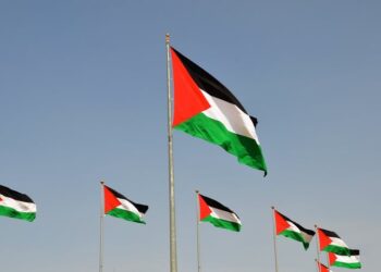 Palestinian and US flag.
