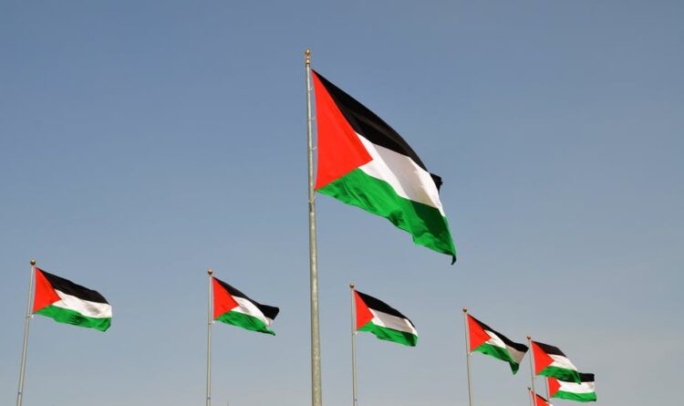 Palestinian and US flag.