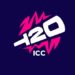 T20 World Cup