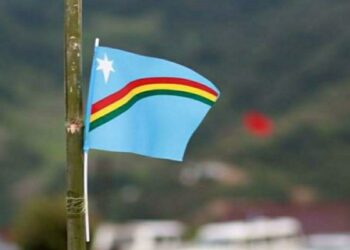 NSCN-IM again urges Centre to recognise Naga flag, constitution