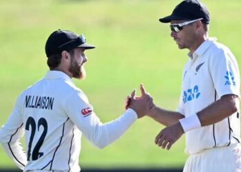 Williamson, Southee