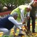 Narendra Modi plants Peepal sapling