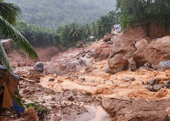 Wayanad Landslides