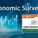 economiy survey