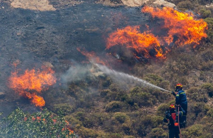 (240702) -- BEIJING, July 2, 2024 (Xinhua) -- Firefighters try to put out a fire in the forest at Keratea, southeast of Athens, Greece, June 30, 2024.
  Since the start of the wildfire season on May 1, firefighters are called to handle dozens of wildfires every day across the country. (Xinhua/Marios Lolos)