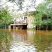 Bihar floods: Hospital submerged, police station premises surrounded by water, people have taken shelter on the streets.