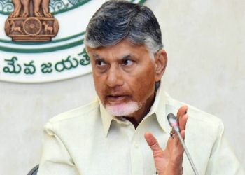 Andhra Pradesh Chief Minister N Chandrababu Naidu