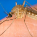 West Nile fever