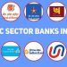 India’s Public Sector Banks