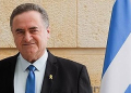 Israeli Defence Minister Israel Katz