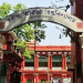 Rabindra Bharati University