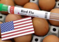 Bird flu