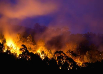 Bushfire In Australia