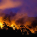 Bushfire In Australia