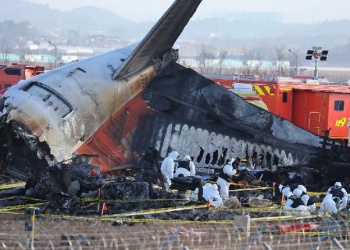 Jeju Air Crash