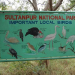 Sultanpur Bird Sanctuary