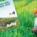 Kisan Credit Cards