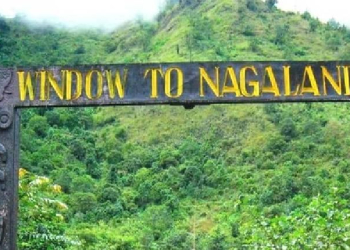 Nagaland Govt