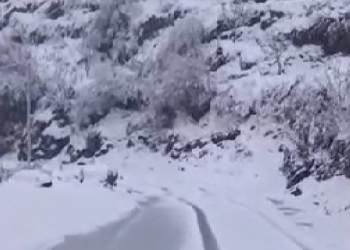 Uttarakhand Avalanche