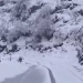 Uttarakhand Avalanche