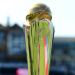 ICC Champions Trophy 2025