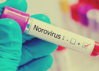 Norovirus Wave