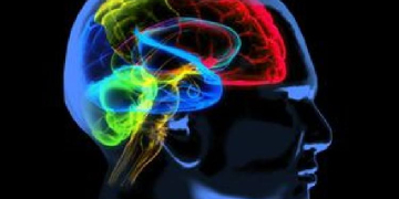 AI-Based Tool