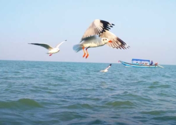 Chilika