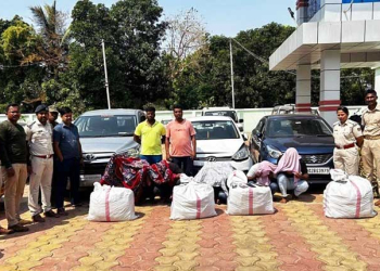 Excise Dept Seizes 160 Kg Ganja In Ganjam; 7 Arrested