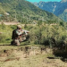 Indian Army.